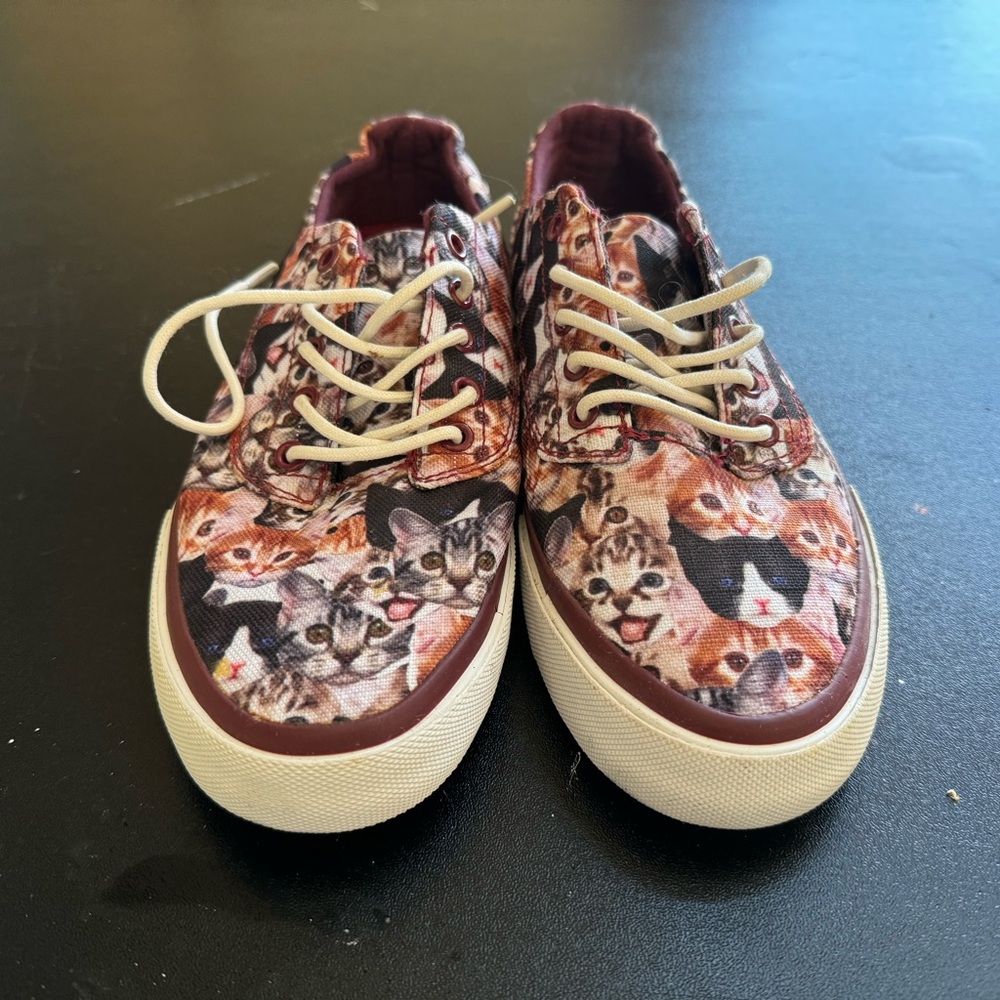 Radii- Kittens Men Low Top Skate Shoes